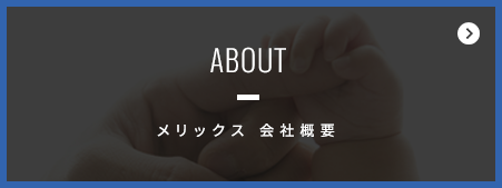 メリックス　会社概要